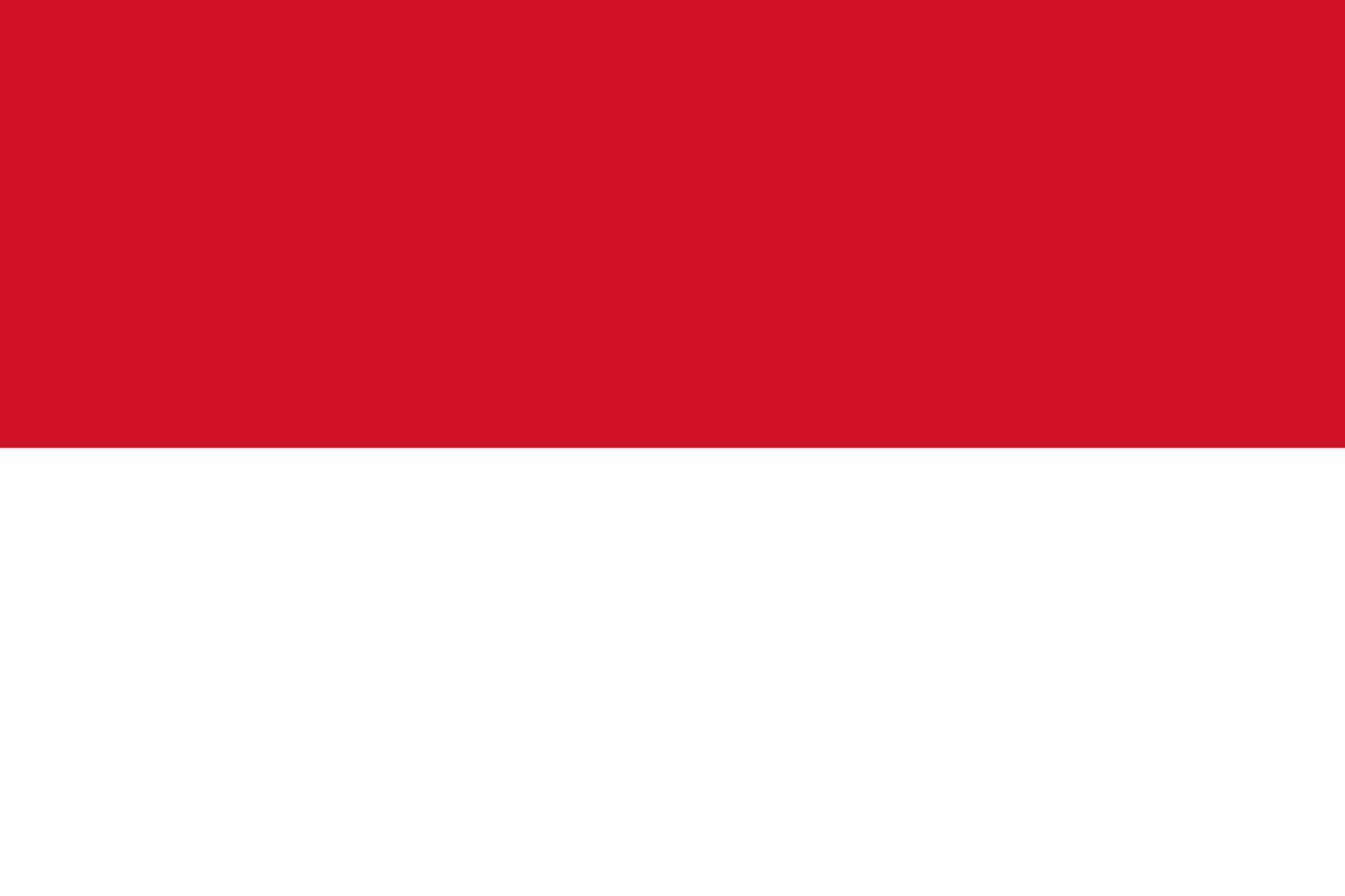 Face à la menace de submersion de Jakarta, l’Indonésie inaugure sa nouvelle capitale