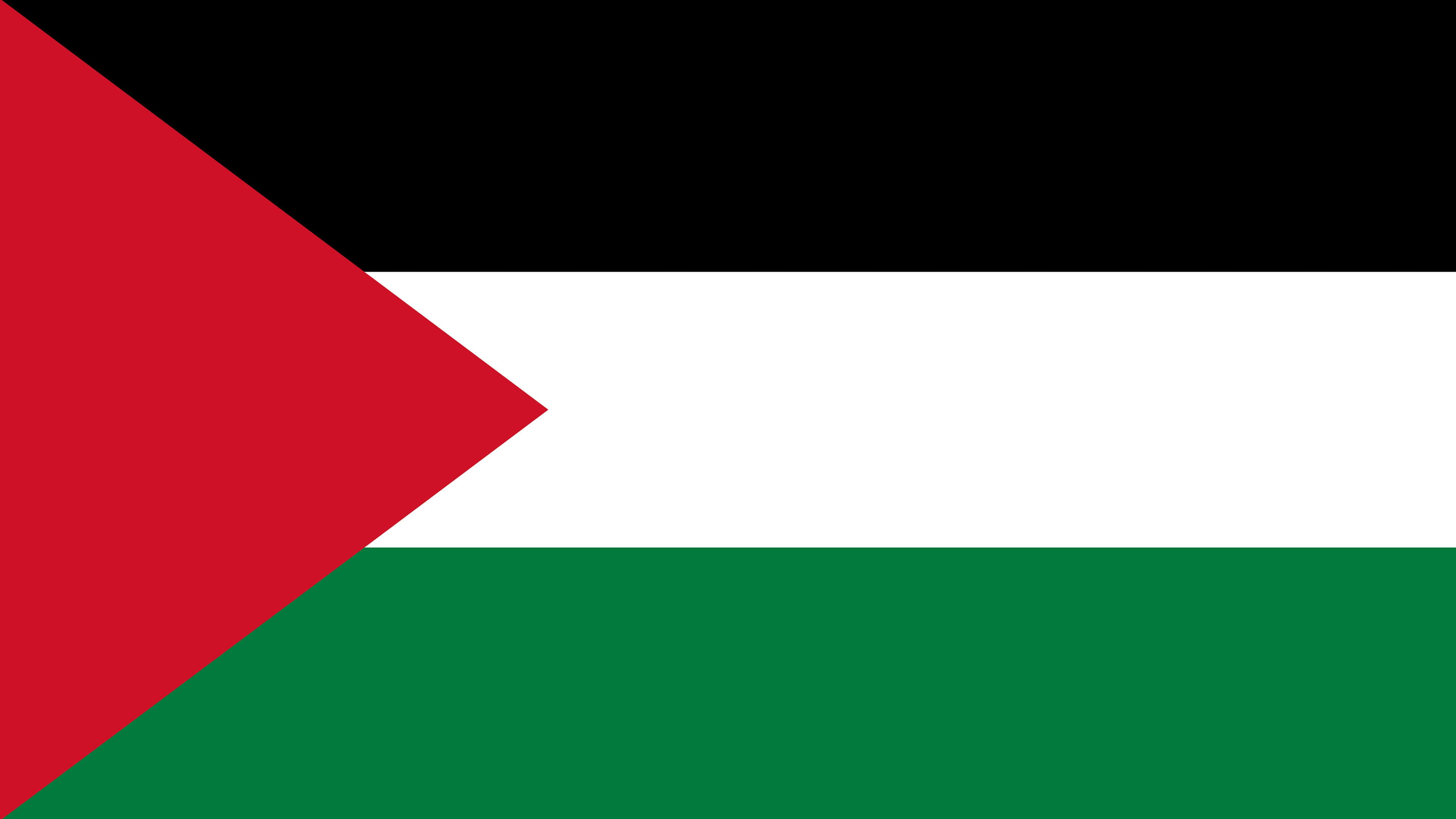 La France apporte une aide humanitaire de 40 tonnes à la bande de Gaza