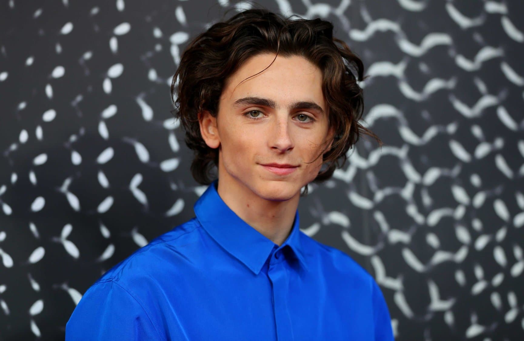 Timothée Chalamet désigné meilleur acteur lors des Critics Choice Awards