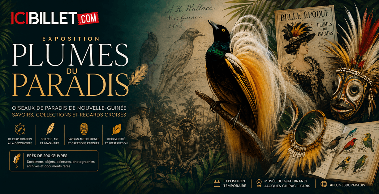 L’exposition « Plumes du paradis » : quand science, art et imaginaire s’entrelacent au Quai Branly-Jacques Chirac