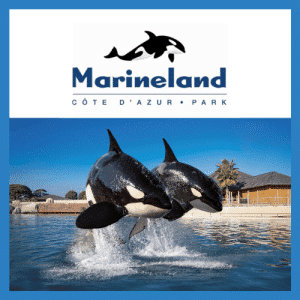 Marineland, premier zoo d’Europe, baisse pavillon définitivement